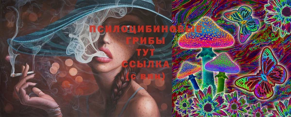 гидра Вуктыл