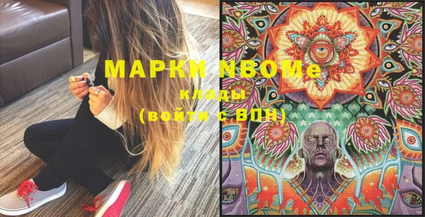 шишки Пересвет
