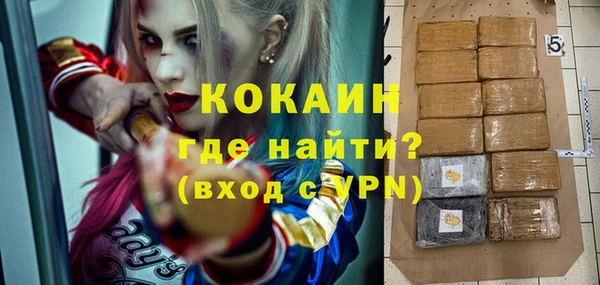 шишки Пересвет