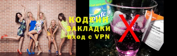 шишки Пересвет