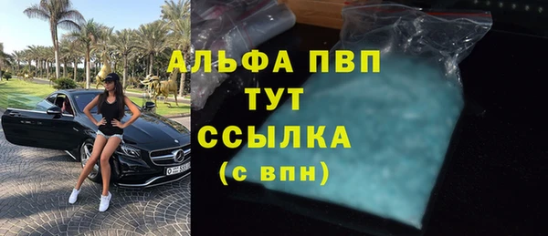 шишки Пересвет