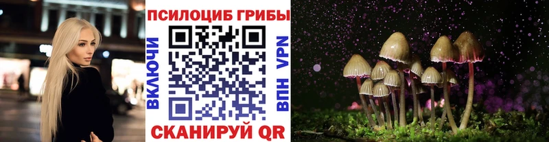 Псилоцибиновые грибы MAGIC MUSHROOMS  Белёв 